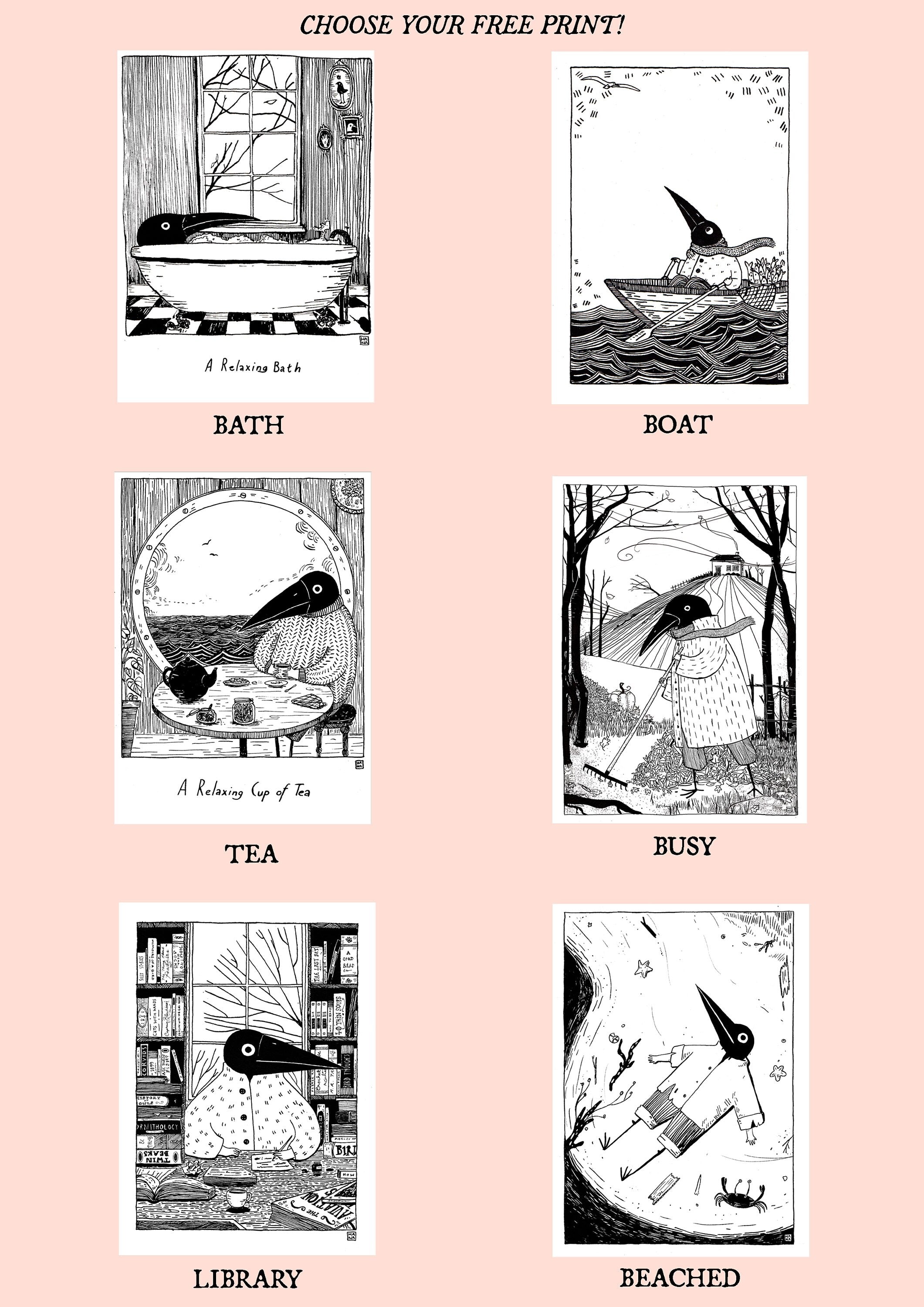 Birdface Zine Bundle: Issues 1-5 + Print