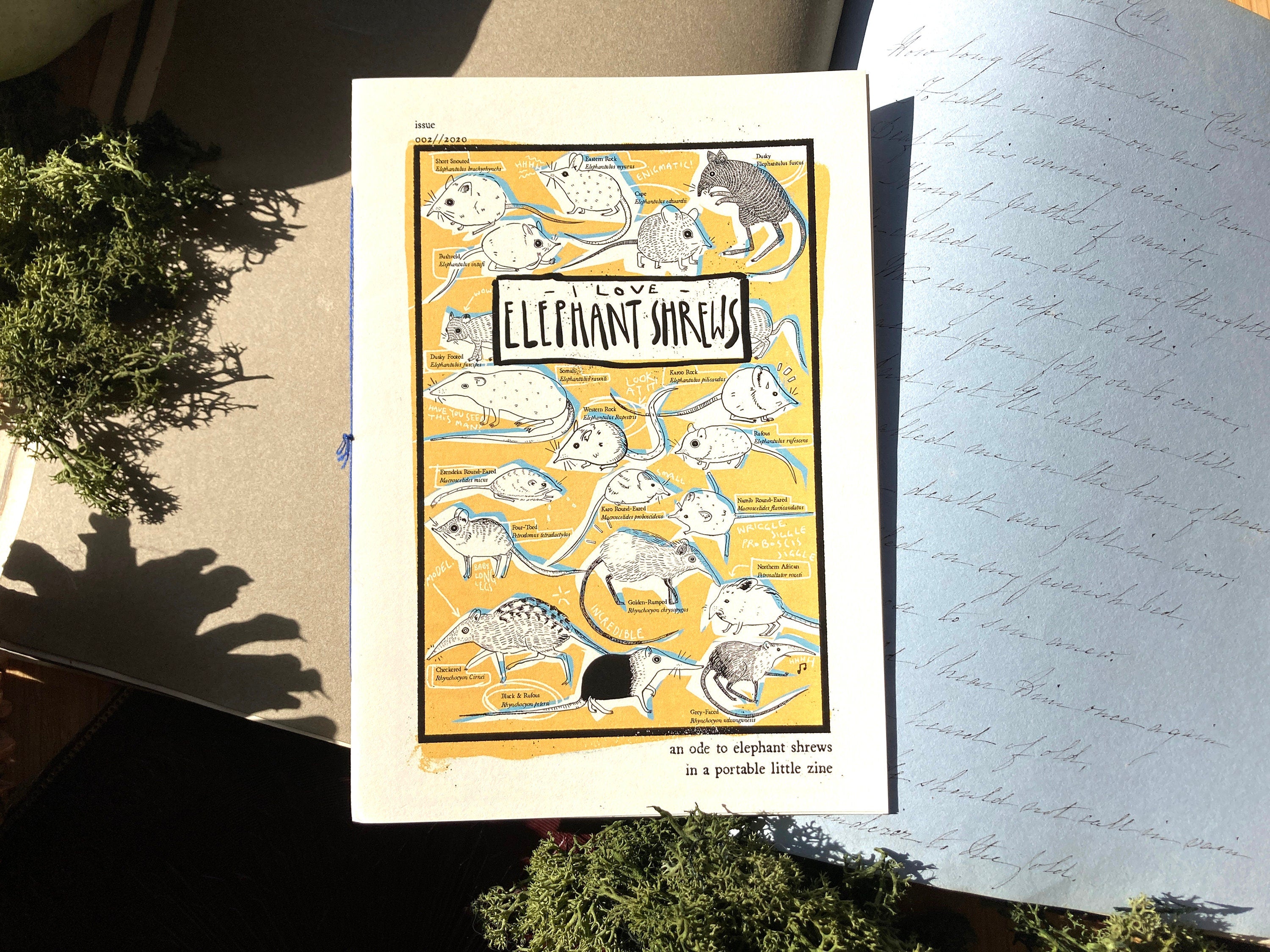 "I LOVE ELEPHANT SHREWS" Zine