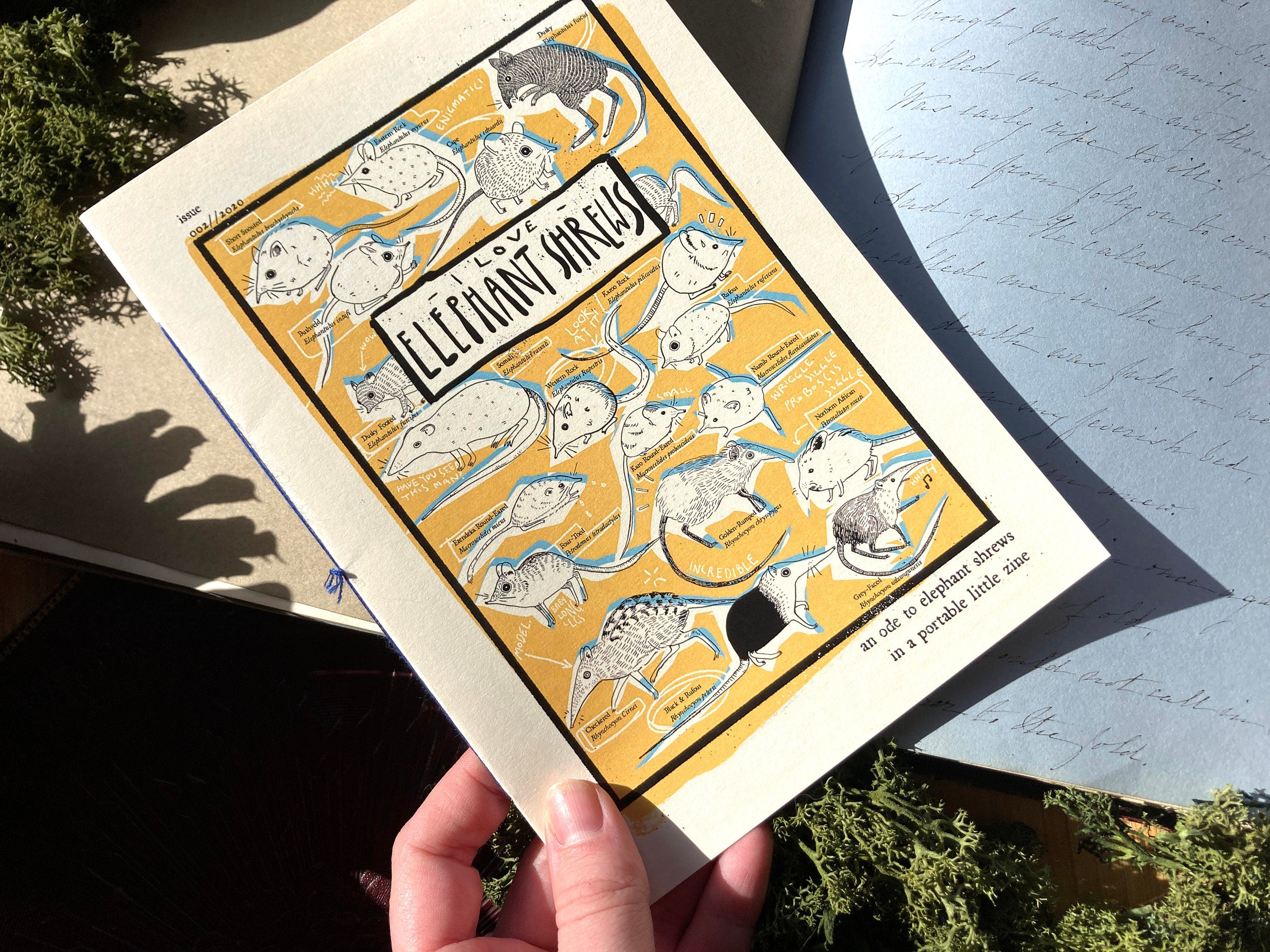 "I LOVE ELEPHANT SHREWS" Zine