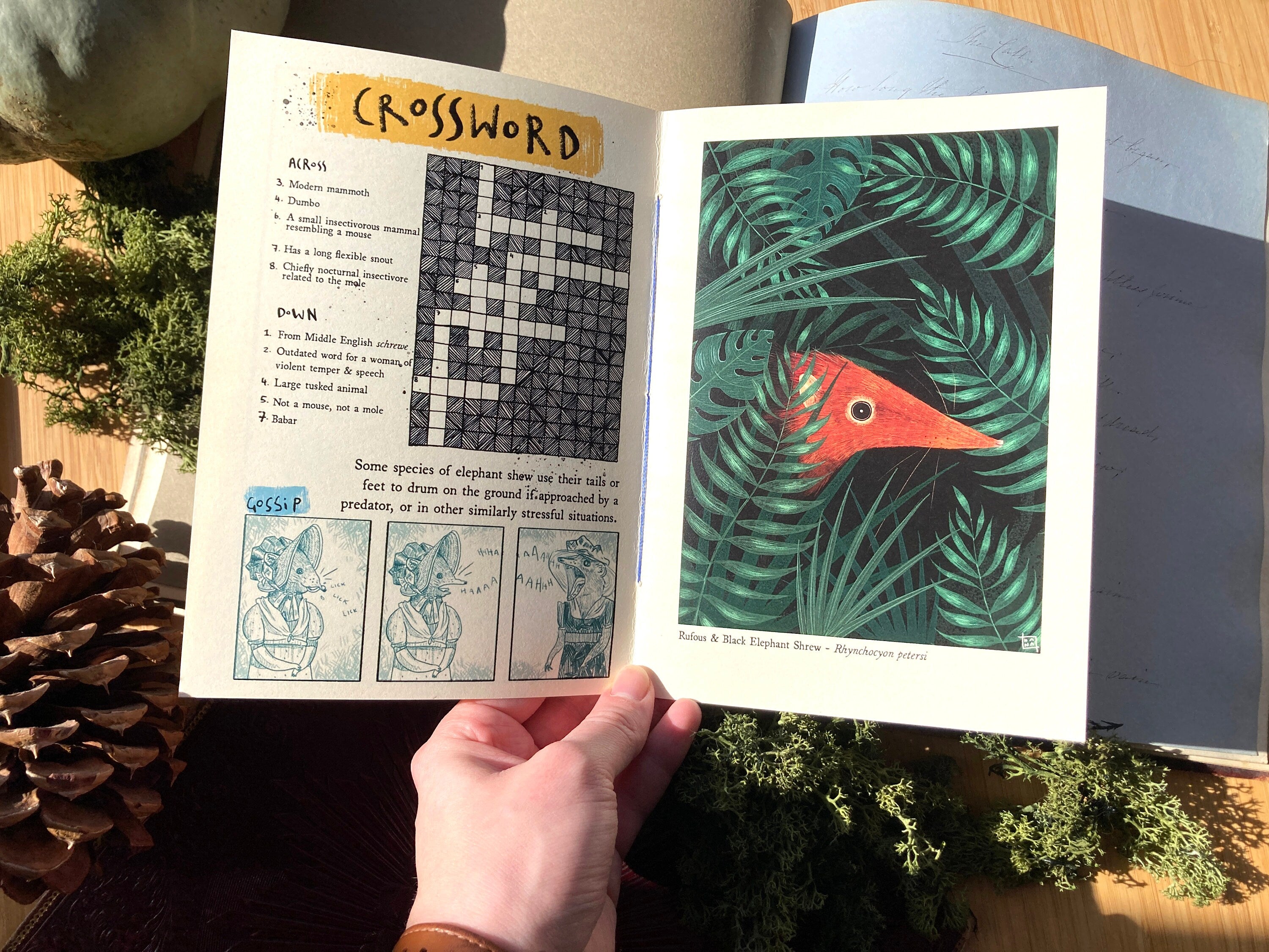 "I LOVE ELEPHANT SHREWS" Zine