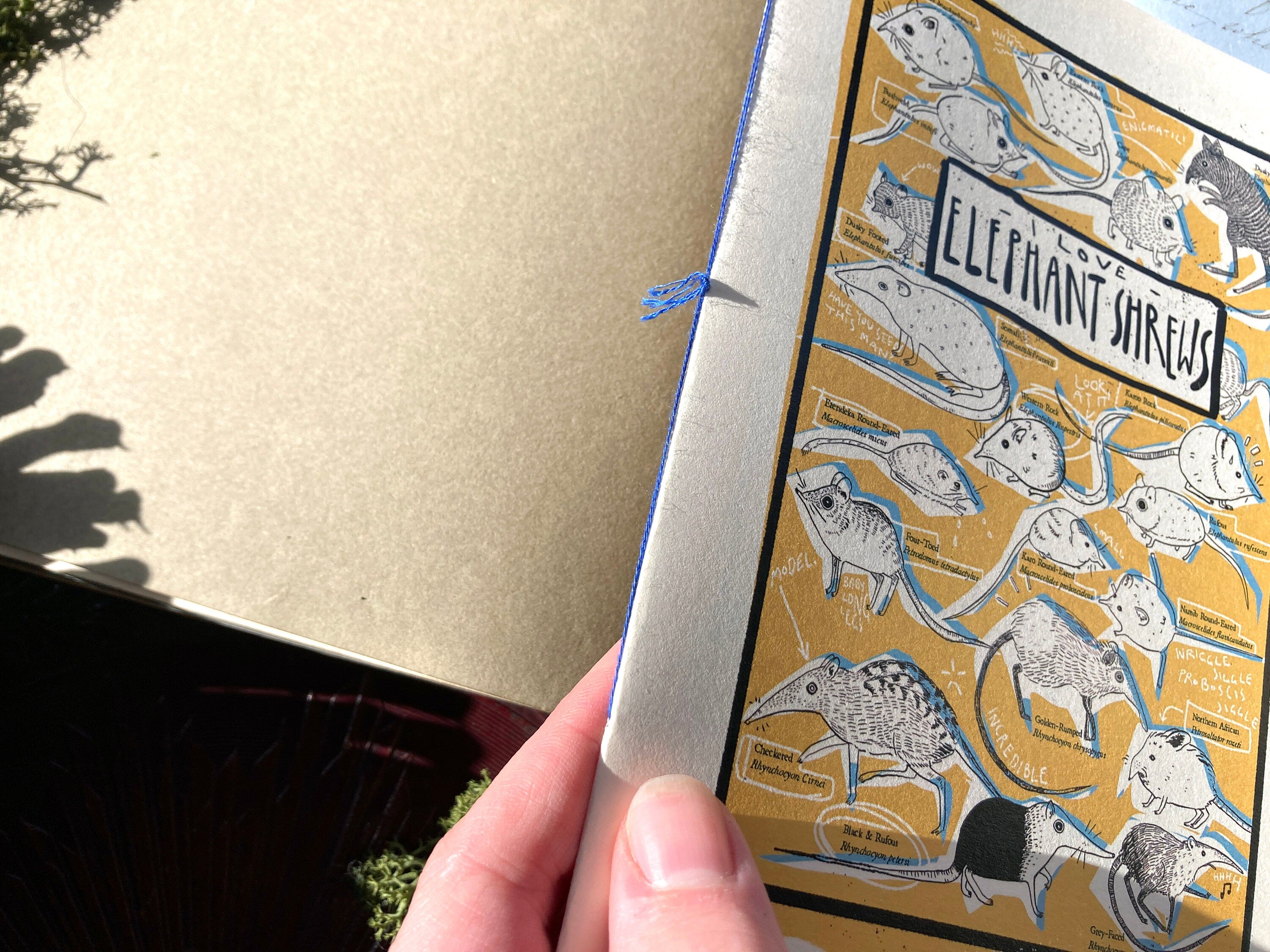 "I LOVE ELEPHANT SHREWS" Zine