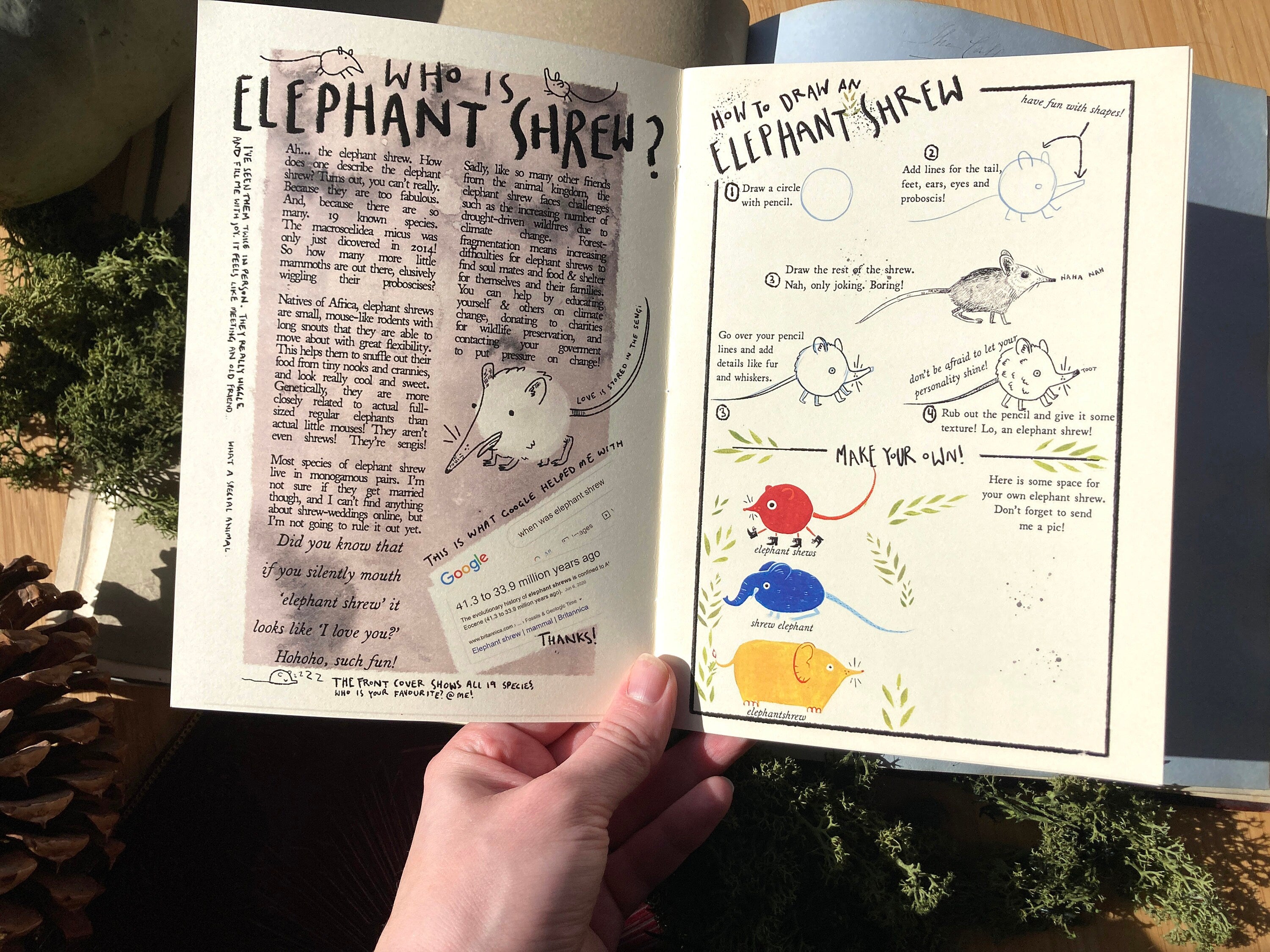 "I LOVE ELEPHANT SHREWS" Zine