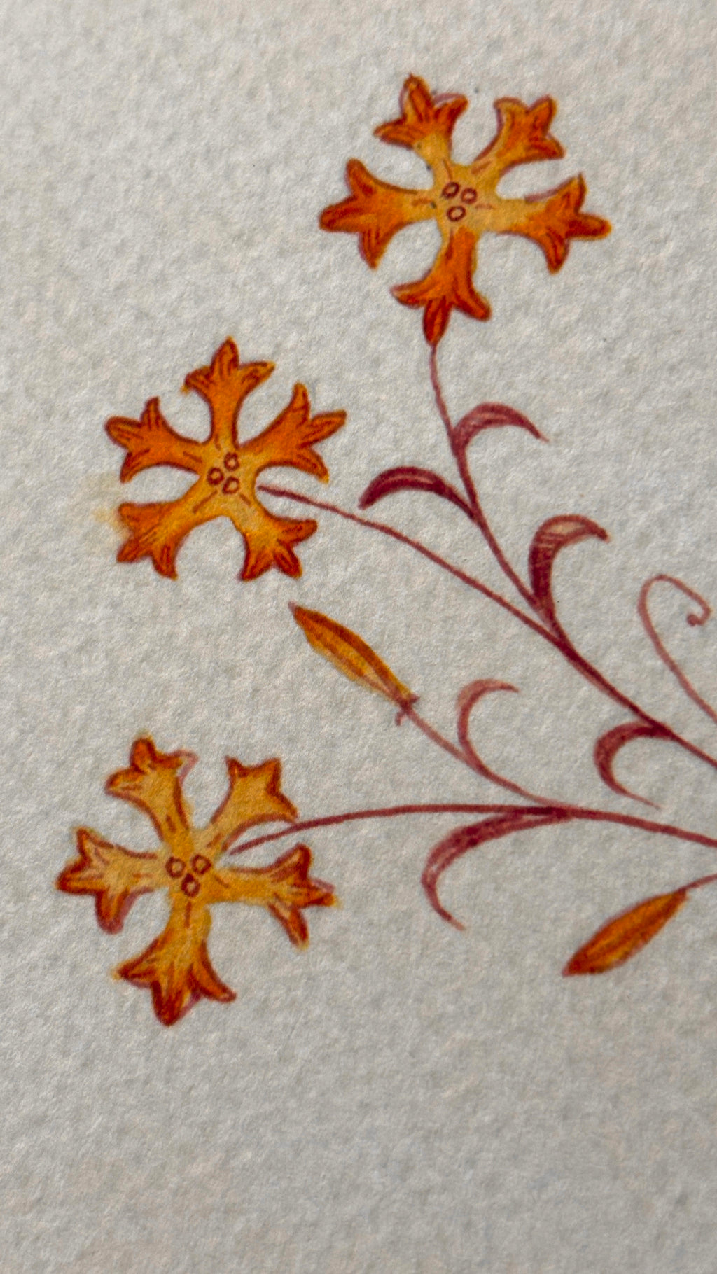 'Miserable Frog' Print