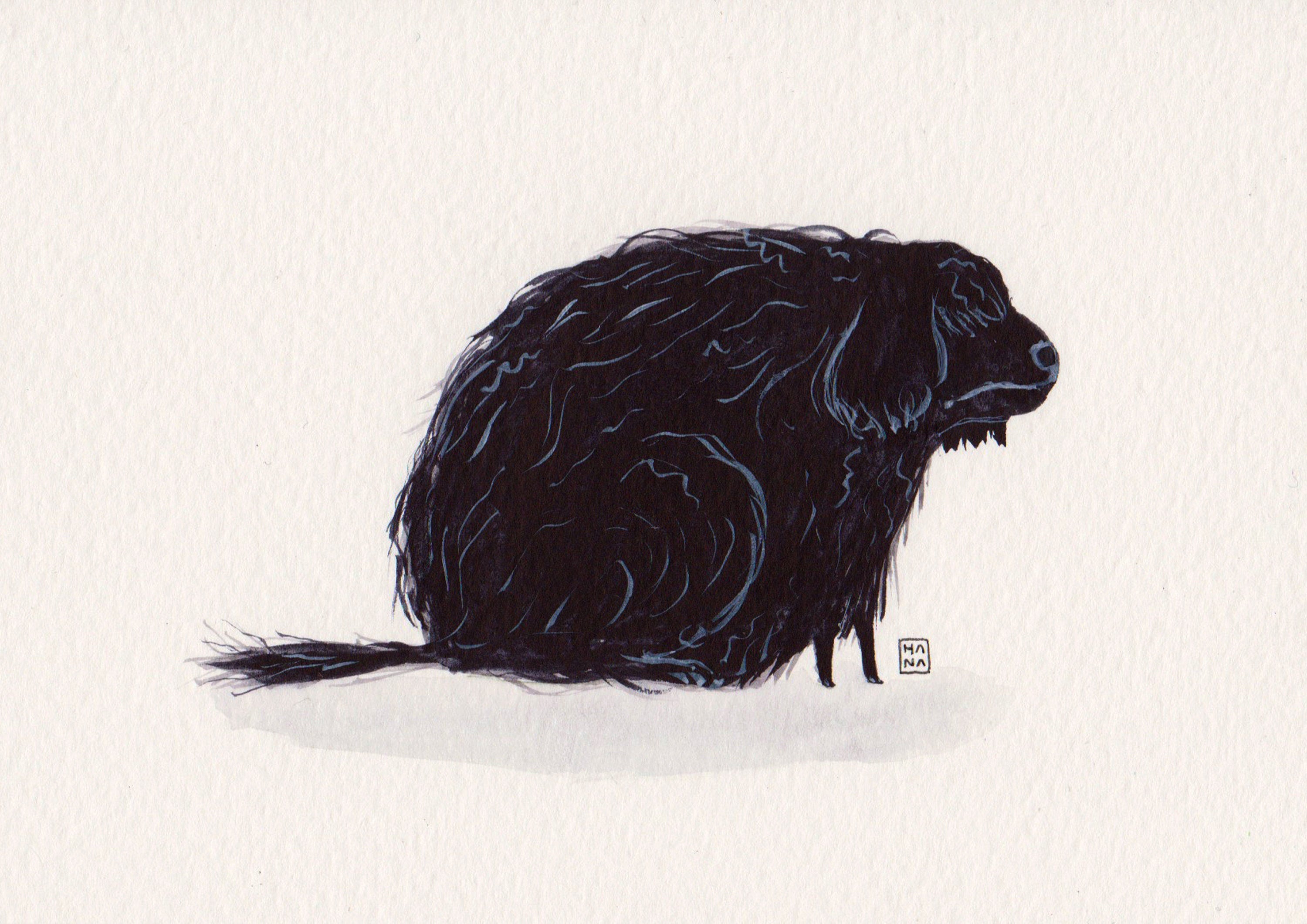 "Shaggy Dog" Print