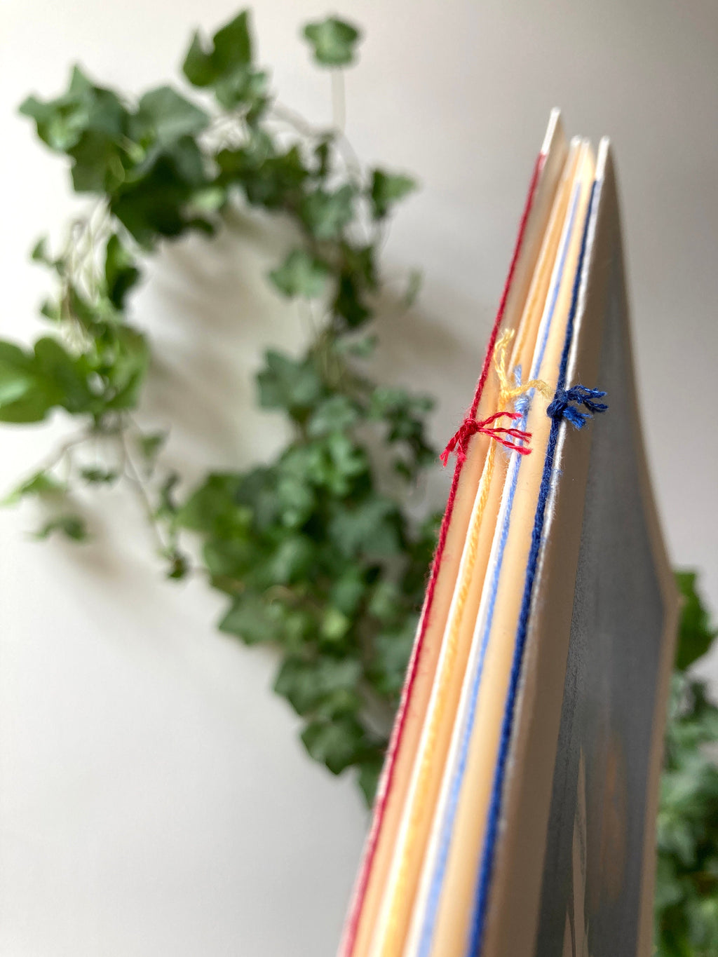 Birdface Zine Bundle: Issues 1-5 + Print