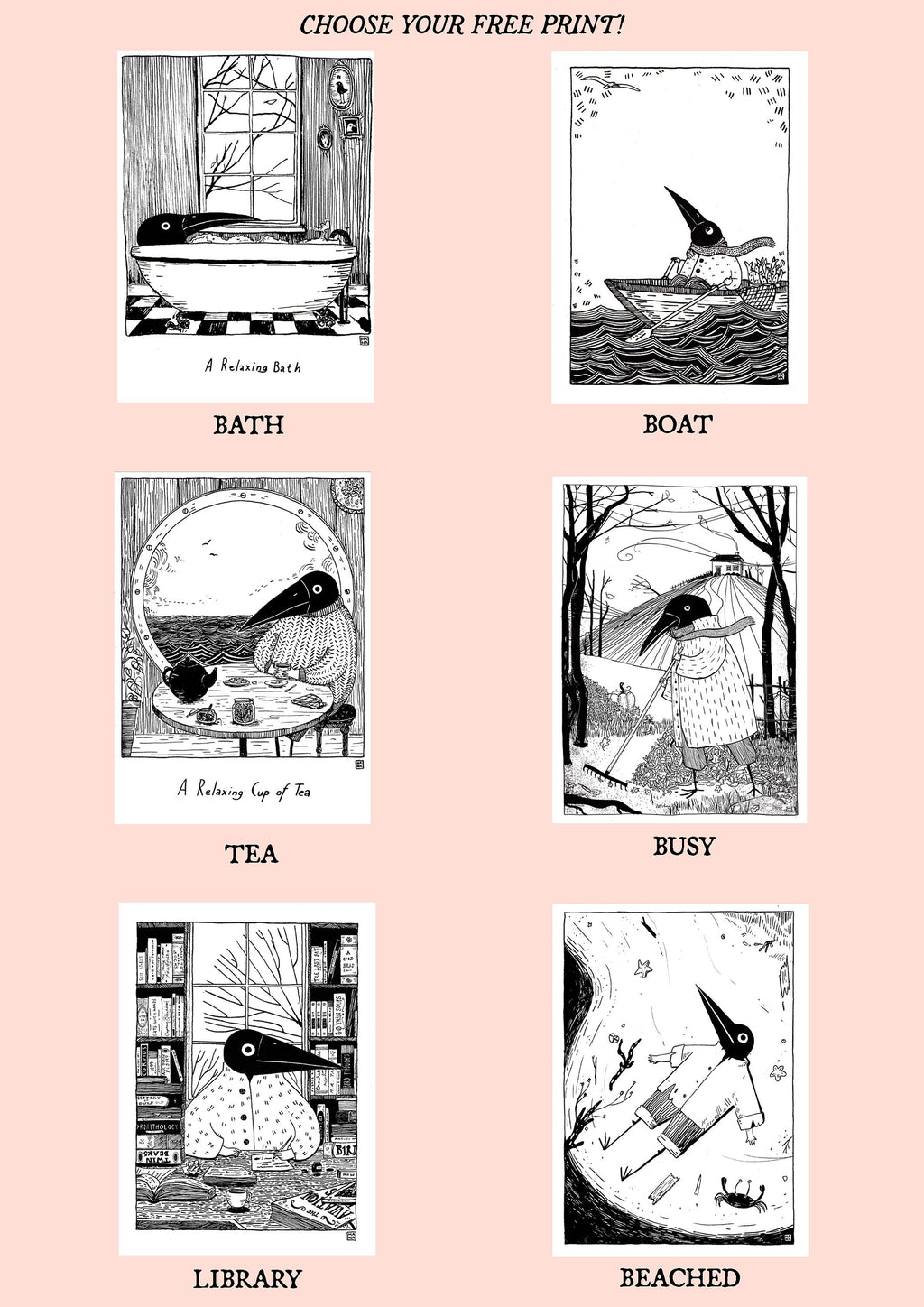 Birdface Zine Bundle: Issues 1-5 + Print