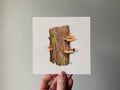 "Mushroom Picnic" print held in a hand: orange bracket mushrooms growing on a tree stump