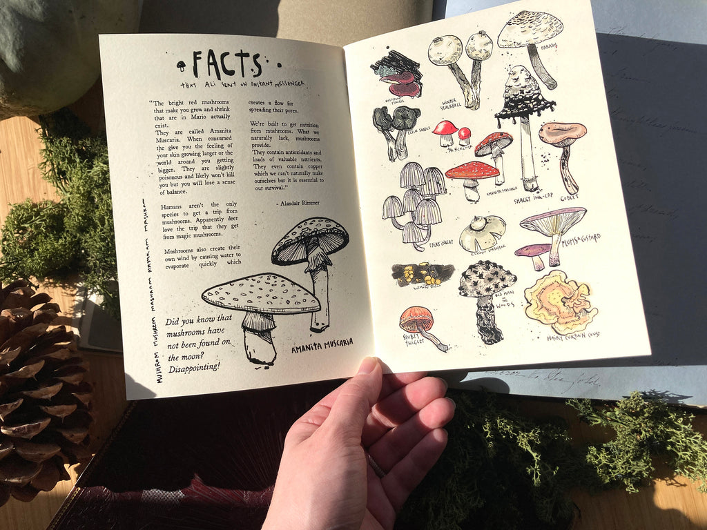 "I LOVE MASHRUMS" Zine