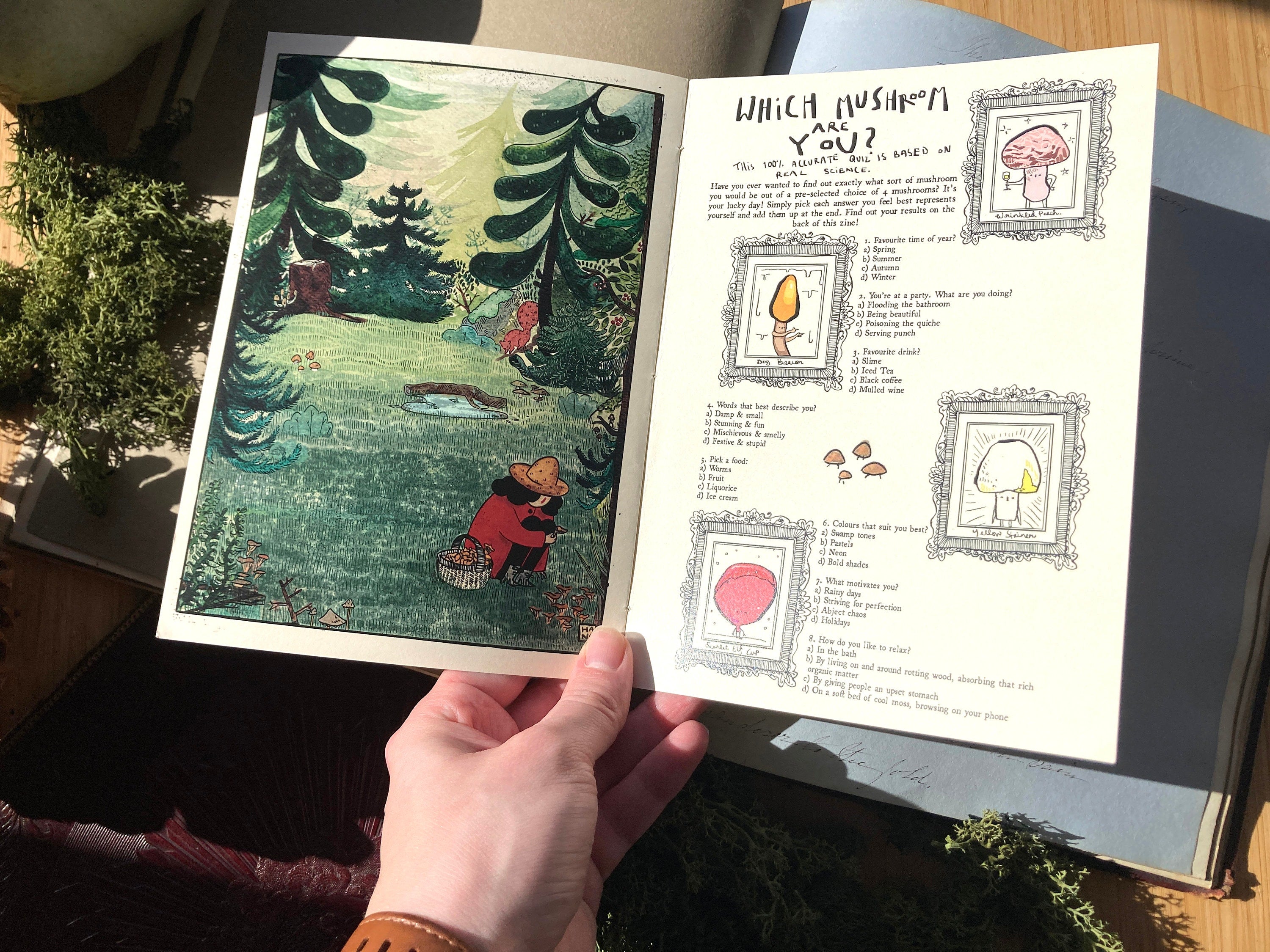 "I LOVE MASHRUMS" Zine