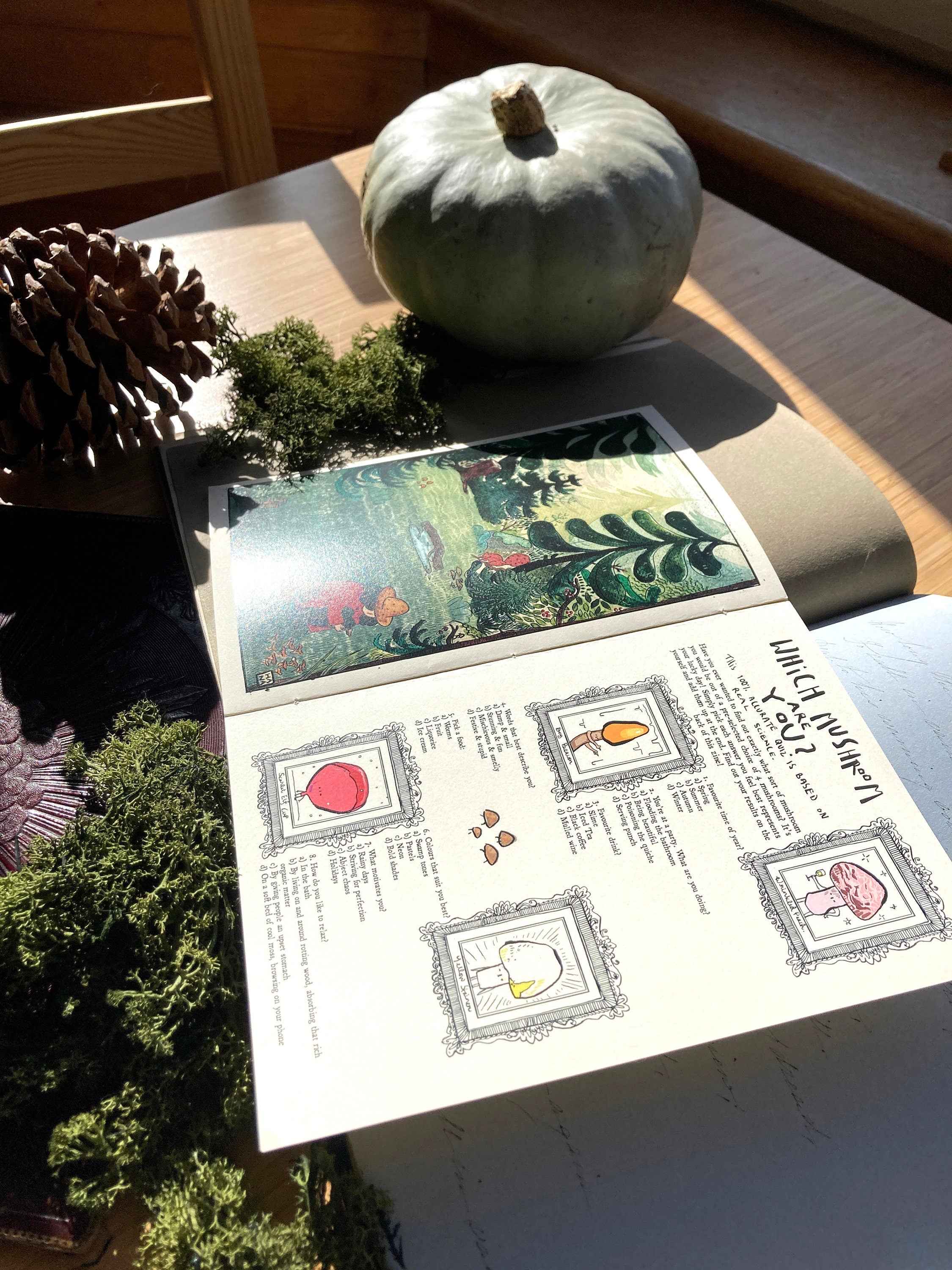 "I LOVE MASHRUMS" Zine