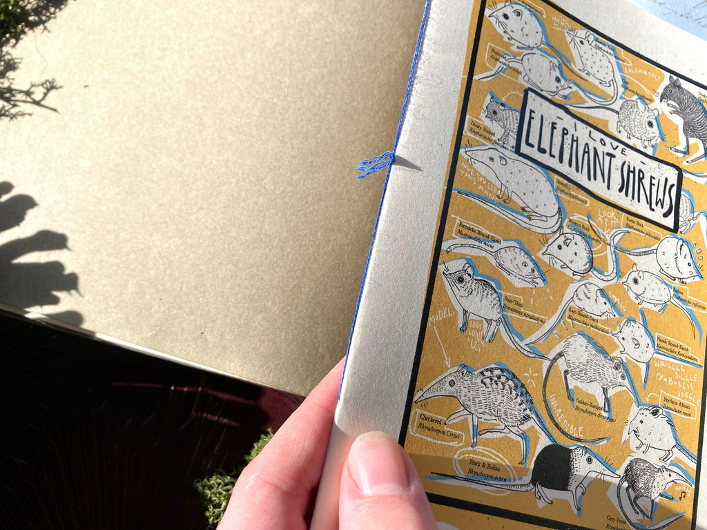 "I LOVE ELEPHANT SHREWS" Zine