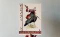 "The Wanderer" print held in a hand: a blackbird in a green cloak carrying a bundle on a spear