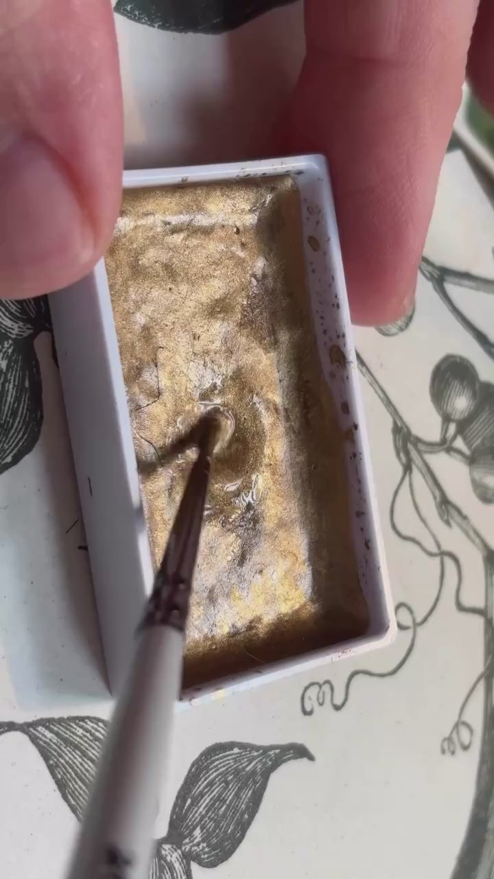 "The Forager" Original Watercolour Painting